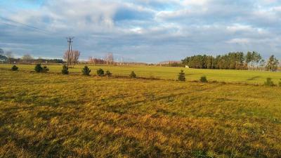 Osowa gm Suwałki działka budowlana 760, 1000 m2